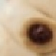 picked_1781131984746.jpg