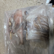 picked_1781129331716.jpg