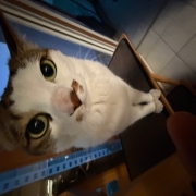 picked_1781687131451.jpg