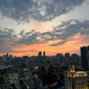IMG_7541.jpeg