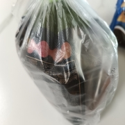 picked_1782733405998.jpg