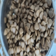 original_1782717444306.jpg