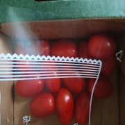 picked_1782708046456.jpg