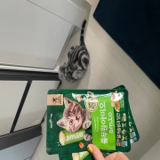IMG_6136.jpeg