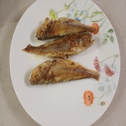 picked_1782905770314.jpg