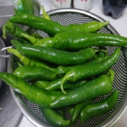 picked_1784011719296.jpg