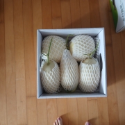 picked_1784012196243.jpg