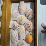 picked_1784111540269.jpg