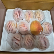 picked_1784775064228.jpg