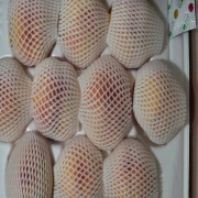 picked_1785158563955.jpg