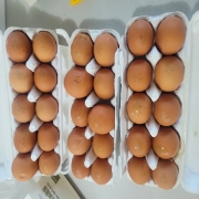 picked_1785200926632.jpg