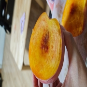 picked_1785320466075.jpg