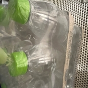 IMG_9020.jpeg