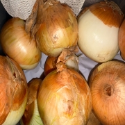 image.jpg