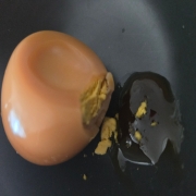 picked_1786061920410.jpg