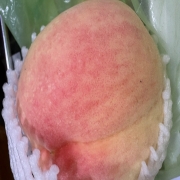 KakaoTalk_20260808_174815678.jpg