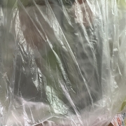 IMG_9262.jpeg