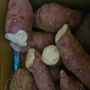 picked_1787133933079.jpg