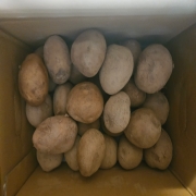 picked_1787373693613.jpg