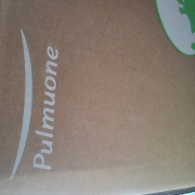 picked_1787571028884.jpg