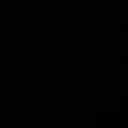 IMG_1236.jpeg