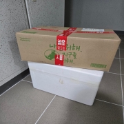 미디어.jpeg