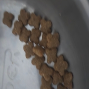 1000030186.jpg