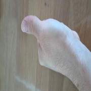picked_1788492643083.jpg