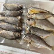 IMG_7708.jpeg