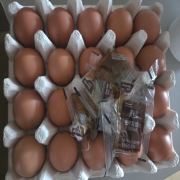 picked_1789456288197.jpg