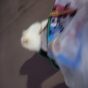 20260910_191125.jpg