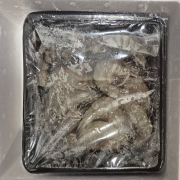 picked_1789554024163.jpg