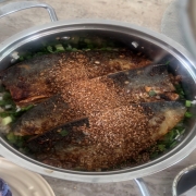 IMG_3057.jpeg