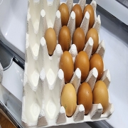 1000071558.jpg