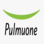 풀무원 로고.png