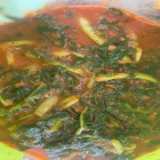 IMG_9659.jpeg