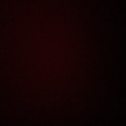 IMG_1315.jpeg
