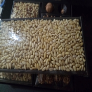 picked_1790260642695.jpg