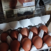 picked_1790545650661.jpg