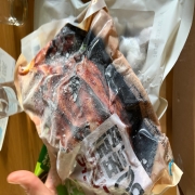 KakaoTalk_20260922_094419943_02.jpg