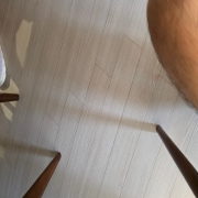 original_1790566381798.jpg