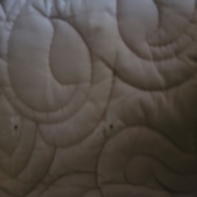 1790771037225455348017371186016.jpg