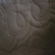17907711243629128264320634753997.jpg