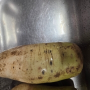 picked_1790831854622.jpg
