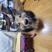 picked_1790947032840.jpg