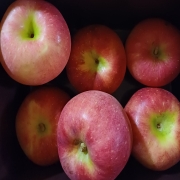 picked_1790947474387.jpg