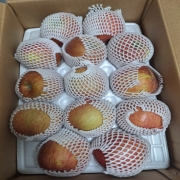 KakaoTalk_20250112_133827489_05.jpg