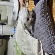 picked_1791250098209.jpg
