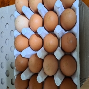picked_1791294292812.jpg