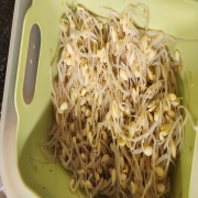 picked_1791367433685.jpg